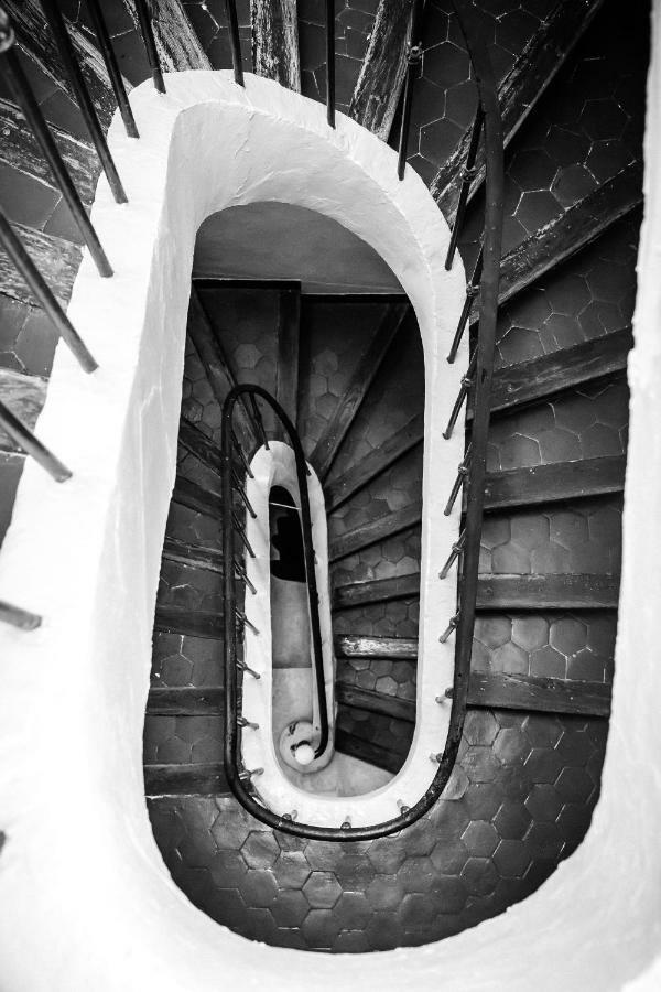 Le Sureau Appartement Avignon